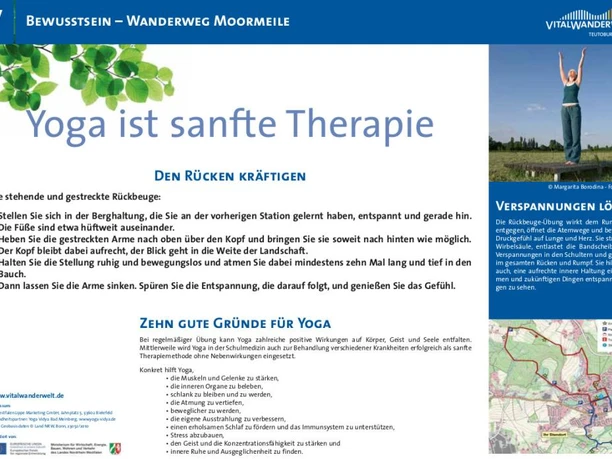 VitalWanderWelt Wanderweg Moormeile - Yoga ist sanfte Therapie Wanderweg durch Moorlandschaft mit Yoga-Übungen zur Entspannung und Rückenkraft.