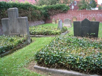 Jüdischer Friedhof Harsewinkel Historischer Friedhof mit alten Grabsteinen, grüner Efeu bedeckt einige Gräber, umgeben von Ziegelmauer.