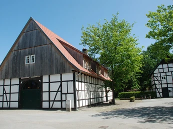 Historisches Fachwerkhaus mit rotem Ziegeldach und angrenzendem Baum vor blauem Himmel.