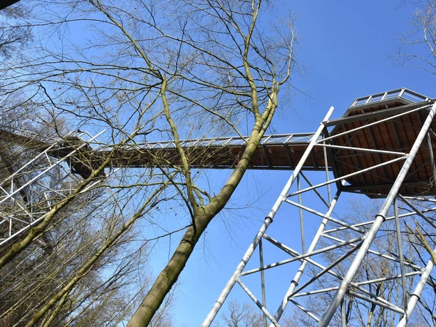 Baumwipfelpfad Bad Iburg Baumwipfelpfad in Bad Iburg mit erhöhtem Holzweg und Aussichtsturm zwischen hohen Bäumen.
