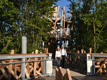 Baumwipfelpfad Der Baumwipfelpfad erstreckt sich durch dichte Baumkronen mit einer spiralförmigen Turmkonstruktion.