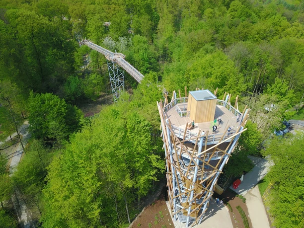 Baumwipfelpfad Ein hölzerner Aussichtsturm ragt inmitten von grünen Bäumen hervor, verbunden mit einem erhöhten Spazierweg.