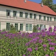 Glashütte Gernheim: Herrenhaus Herrenhaus der Glashütte Gernheim, historisches Gebäude mit rotem Dach und blühenden violetten Blumen.