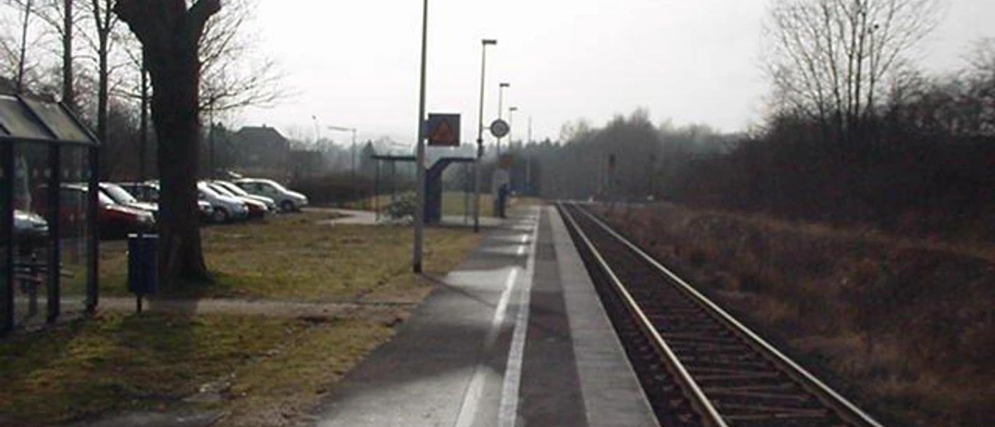 Bahnhof Ehlenbruch Bahnhof Ehlenbruch mit Gleisen, schmalem Bahnsteig und Winterlandschaft, kahler Baumbestand.