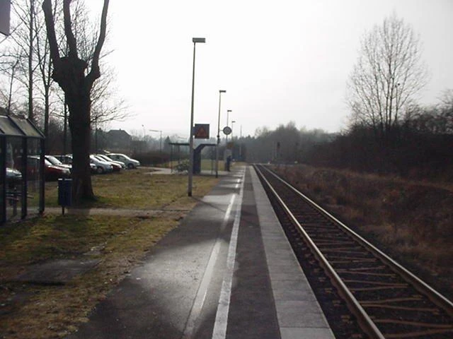 Bahnhof Ehlenbruch Bahnhof Ehlenbruch mit Gleisen, schmalem Bahnsteig und Winterlandschaft, kahler Baumbestand.