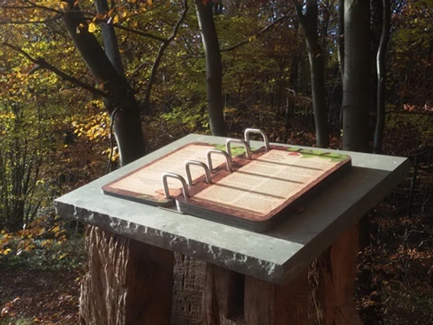 Naturbuch zwischen Elbrinxen und Rischenau Stehendes Holzbuch vor herbstlicher Waldkulisse, umgeben von goldenen Blättern und Sonnenlicht.