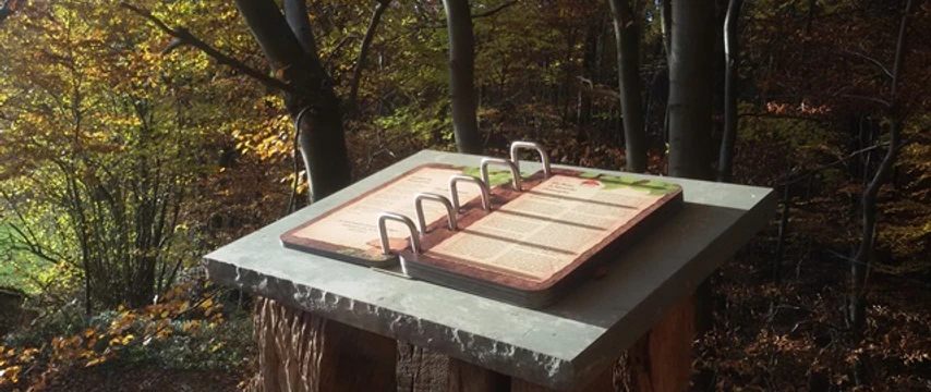 Naturbuch zwischen Elbrinxen und Rischenau Stehendes Holzbuch vor herbstlicher Waldkulisse, umgeben von goldenen Blättern und Sonnenlicht.