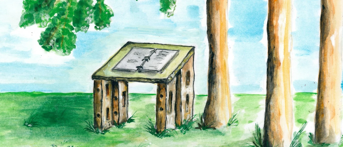 Zeichnung Naturbuch Eine Zeichnung eines offenen Buchs auf einem rustikalen Tisch, umgeben von Bäumen im Hintergrund.