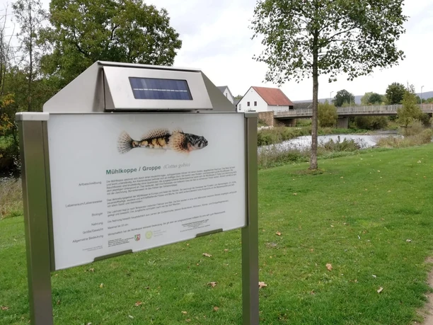 Infotafel Fischlehrpfad Infotafel am Fischlehrpfad mit Informationen zur Mühlkoppe und einem Fluss im Hintergrund.