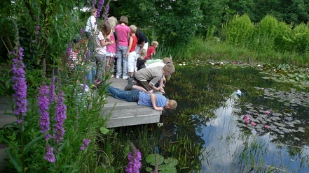 Besuchergruppe im NaturaGart Ibbenbüren Mehrere Personen stehen und knien auf einem Holzsteg, um einen Teich in einer grünen Umgebung zu betrachten.