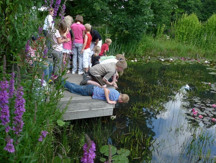 Besuchergruppe im NaturaGart Ibbenbüren Mehrere Personen stehen und knien auf einem Holzsteg, um einen Teich in einer grünen Umgebung zu betrachten.