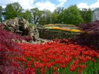 Frühling bei NaturaGart Ibbenbüren Rote Tulpen, bunte Blumenbeete und Felsen prägen die Frühlingslandschaft im NaturaGart-Park.