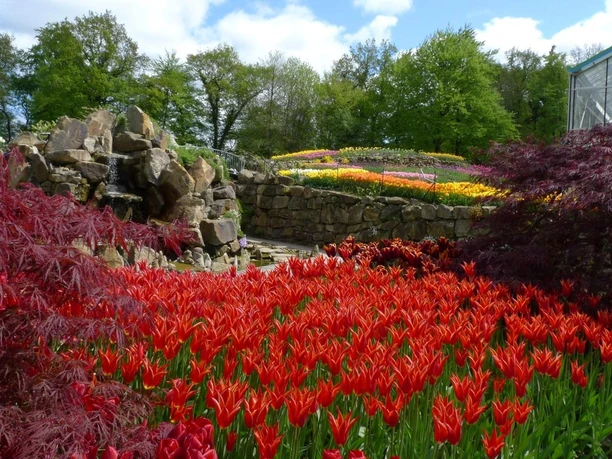 Frühling bei NaturaGart Ibbenbüren Rote Tulpen, bunte Blumenbeete und Felsen prägen die Frühlingslandschaft im NaturaGart-Park.