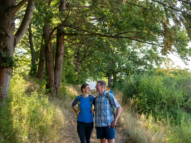 Wanderer am Hutewaldweg