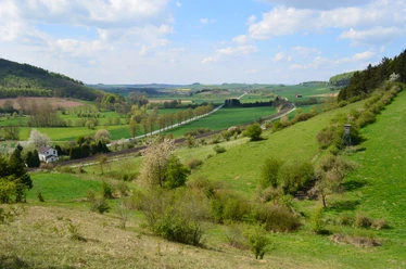 Panoramablick über sanfte grüne Hügel, blühende Bäume und ein Weidegebiet bei Ottbergen, Niedersachsen.