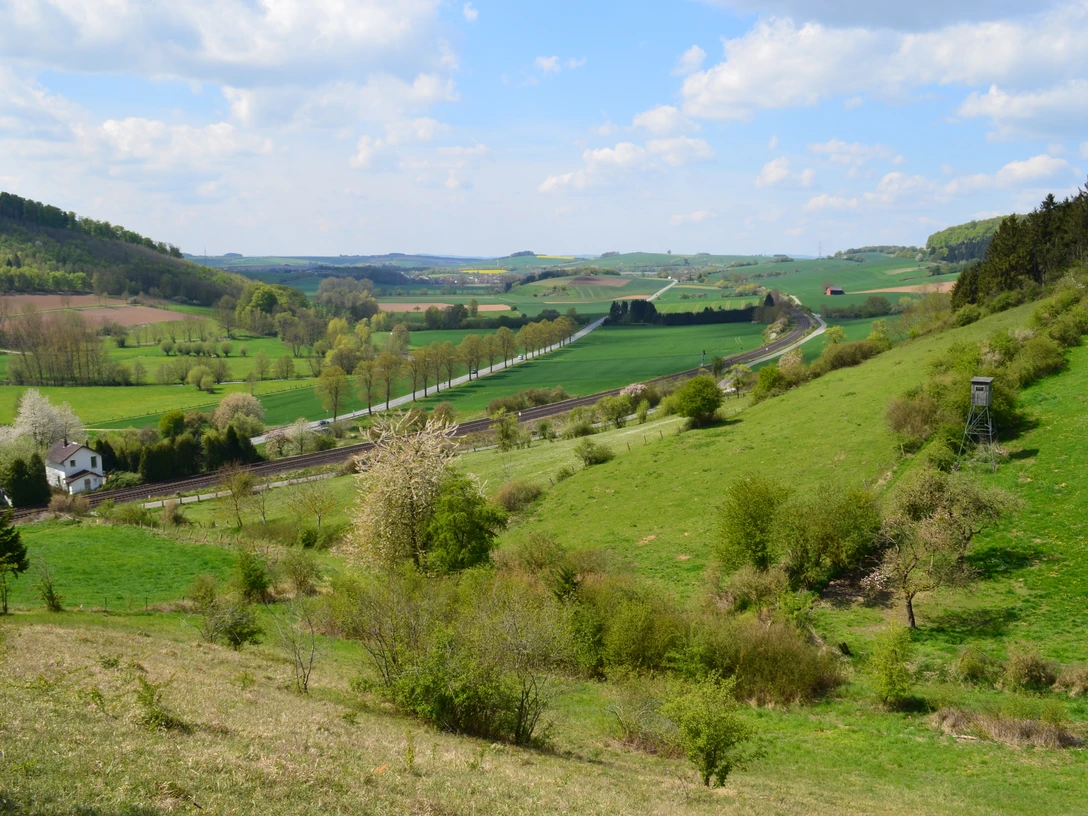 Blick von der Landschaftsliege Ottbergen Panoramablick über sanfte grüne Hügel, blühende Bäume und ein Weidegebiet bei Ottbergen, Niedersachsen.