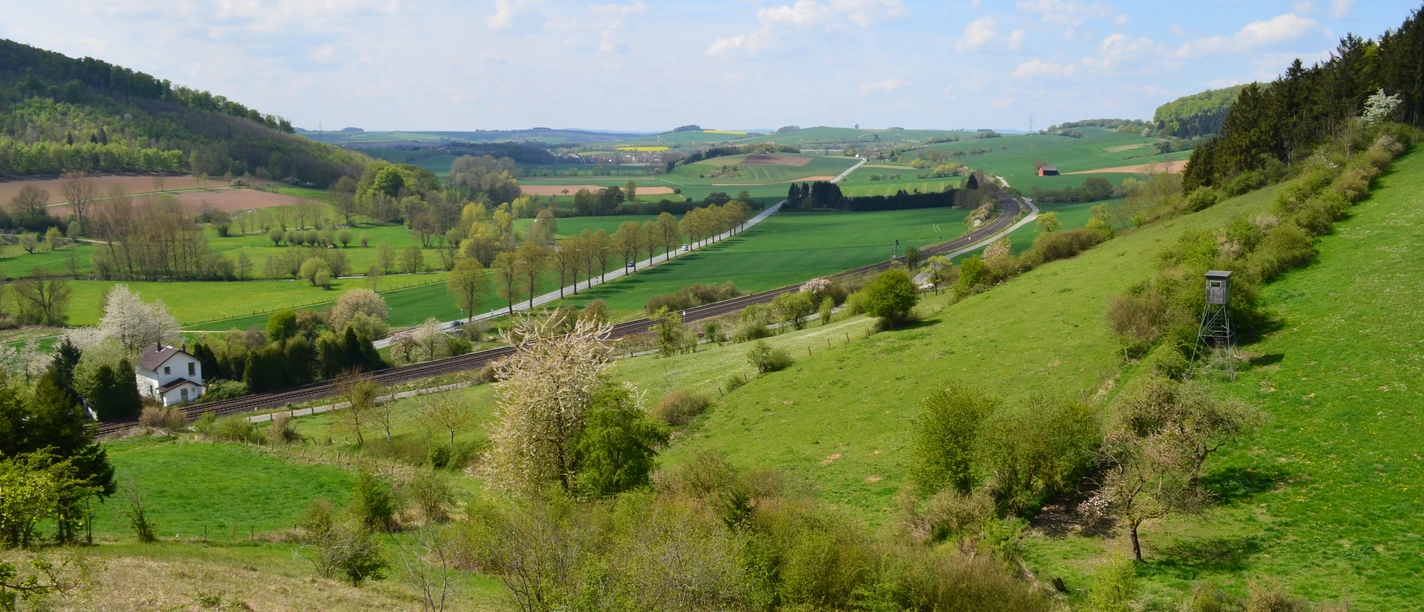 Blick von der Landschaftsliege Ottbergen Panoramablick über sanfte grüne Hügel, blühende Bäume und ein Weidegebiet bei Ottbergen, Niedersachsen.