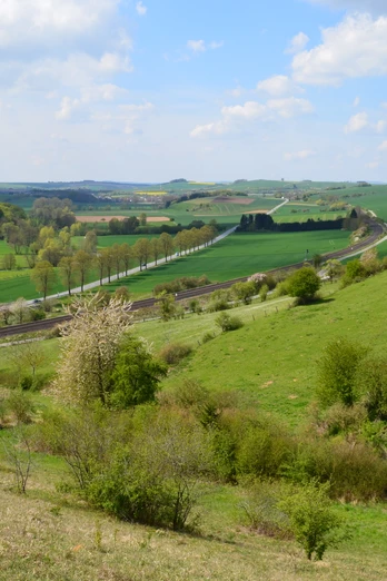 Blick von der Landschaftsliege Ottbergen Panoramablick über sanfte grüne Hügel, blühende Bäume und ein Weidegebiet bei Ottbergen, Niedersachsen.