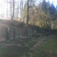 Jüdischer Friedhof in Werther (Westf.) Jüdischer Friedhof in Werther (Westf.)