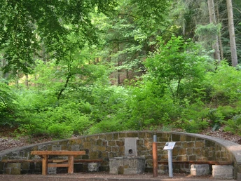 Rastplatz "Riechen" an der Arminiusquelle Steinmauer mit Wasserauslass umgeben von Wald, zwei Holzbänke davor, naturbelassene Umgebung.