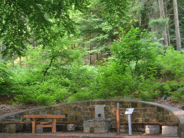 Rastplatz "Riechen" an der Arminiusquelle Steinmauer mit Wasserauslass umgeben von Wald, zwei Holzbänke davor, naturbelassene Umgebung.