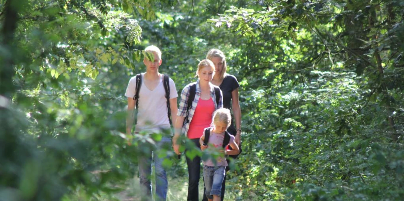 Vier Personen beim Wandern auf einem schattigen Waldweg im Naturschutzgebiet Rixelbruch.