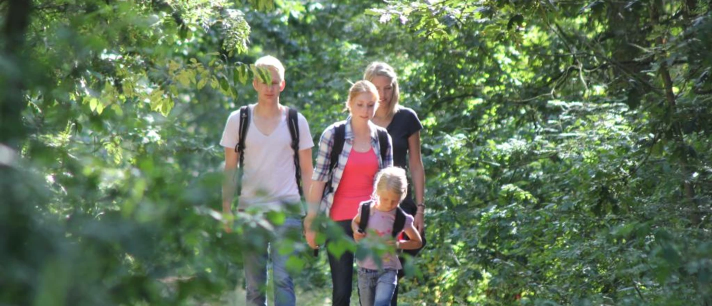 Vier Personen beim Wandern auf einem schattigen Waldweg im Naturschutzgebiet Rixelbruch.