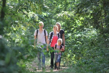 Im Naturschutzgebiet Rixelbruch Vier Personen beim Wandern auf einem schattigen Waldweg im Naturschutzgebiet Rixelbruch.