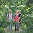 Im Naturschutzgebiet Rixelbruch Vier Personen beim Wandern auf einem schattigen Waldweg im Naturschutzgebiet Rixelbruch.