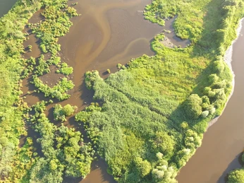 Ausdeichgebiet von Oben Luftaufnahme eines weiten Flusslaufs mit grünen Auen, feuchten Wiesen und verzweigten Wasserarmen.