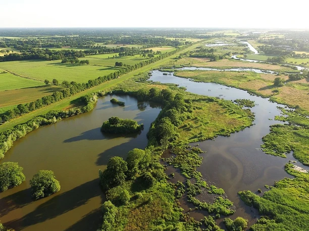 Ausdeichgebiet Weitläufige Flusslandschaft mit Wiesen, Wasserflächen und grünen Baumreihen unter Sonnenlicht.
