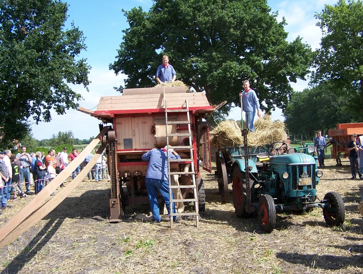 Aperberg Beim traditionellen Erntefest in Niedersachsen trifft sich die Gemeinschaft, um die Segnungen der Erntezeit zu feiern. Strohballen und historische Maschinen umrahmen die Szenerie, während landwirtschaftliche Geräte aus vergangenen Zeiten zum Leben erweckt werden. Es ist ein Fest der Sinne, bei dem der Duft frischer Ernte, das knatternde Geräusch antiker Traktoren und das fröhliche Lachen der Besucher die Luft erfüllen. Dieses Erlebnis lädt dazu ein, tief in die ländliche Kultur einzutauchen und die Wurzeln der Gemeinschaft zu spüren. Inmitten von Tradition und Handwerk wird hier die Erntezeit als lebendiges Fest mit Kultur und Geschichte gefeiert.