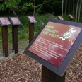 Tafeln im Wald informieren über einen Wettbewerb zur Weite von Sprüngen auf einem mit Rindenmulch bedeckten Boden.