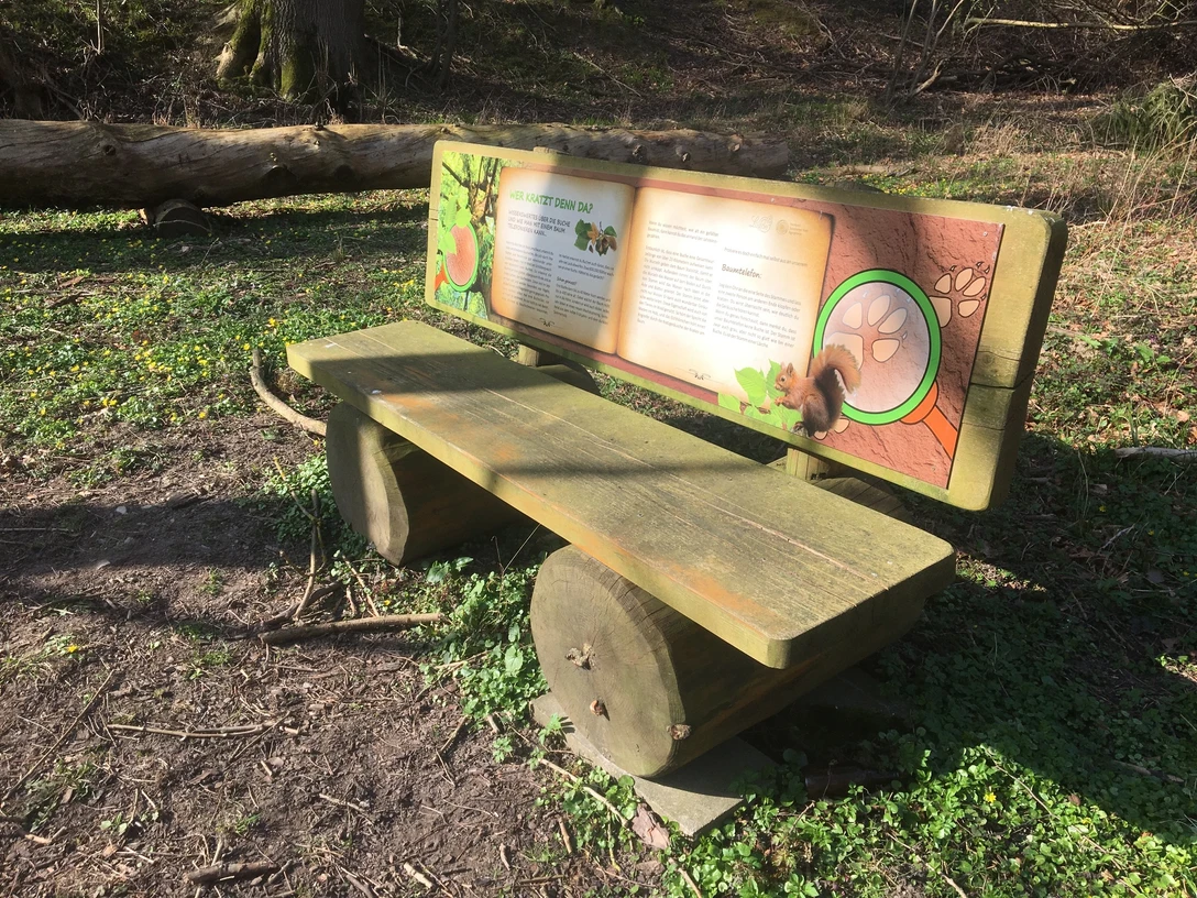 Holzbank mit Rückenlehne auf Wiese, umgeben von Bäumen. Informationstafel zum Naturlehrpfad.