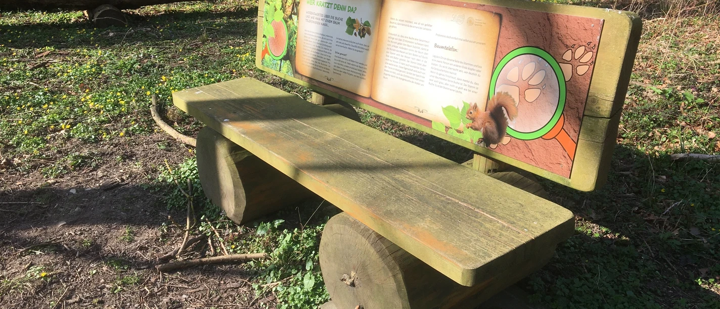 Holzbank mit Rückenlehne auf Wiese, umgeben von Bäumen. Informationstafel zum Naturlehrpfad.