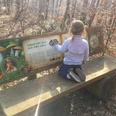 Bank am Naturerlebnispfad Lügde Ein Kind sitzt auf einer Holzbank und betrachtet eine Infotafel über Waldökologie entlang eines Naturpfades.