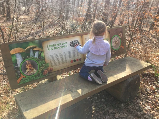 Bank am Naturerlebnispfad Lügde Ein Kind sitzt auf einer Holzbank und betrachtet eine Infotafel über Waldökologie entlang eines Naturpfades.
