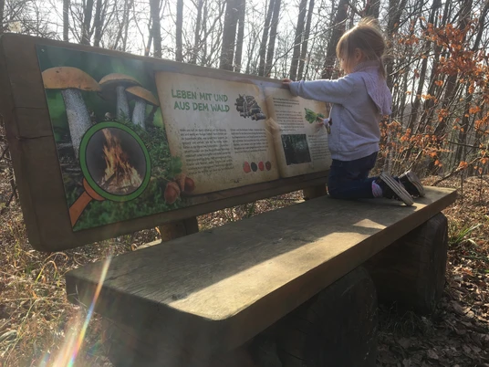 Ein Kind sitzt auf einer Holzbank im Wald und betrachtet interessiert eine Informationstafel.