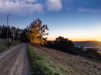 Ein Schotterweg führt bergab, gesäumt von Bäumen im Abendlicht, mit Blick auf Stadt und Hügel.