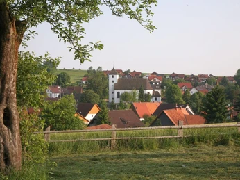 Das Bild zeigt eine grüne Landschaft mit Blick auf das Dorf Bellersen, umgeben von Bäumen und Wiesen.