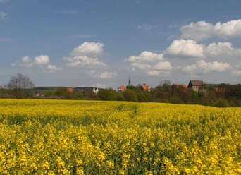 Blick auf Blomberg Gelbes Rapsfeld vor dem Hintergrund des Dorfes Blomberg mit blauem Himmel und weißen Wolken.