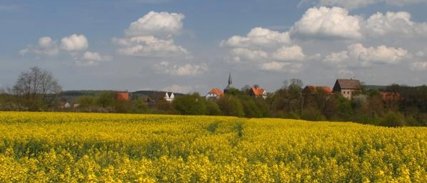 Gelbes Rapsfeld vor dem Hintergrund des Dorfes Blomberg mit blauem Himmel und weißen Wolken.