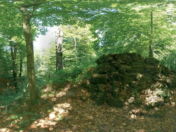 Mächtige Steinruinen der mittelalterlichen Stadt Blankenrode, umgeben von dichtem Wald und Laub.