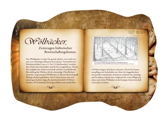 Bankrücken "Wölbäcker Tafel informiert über die historische Agrarlandschaft der Wölbäcker mit erklärendem Text und Grafik.