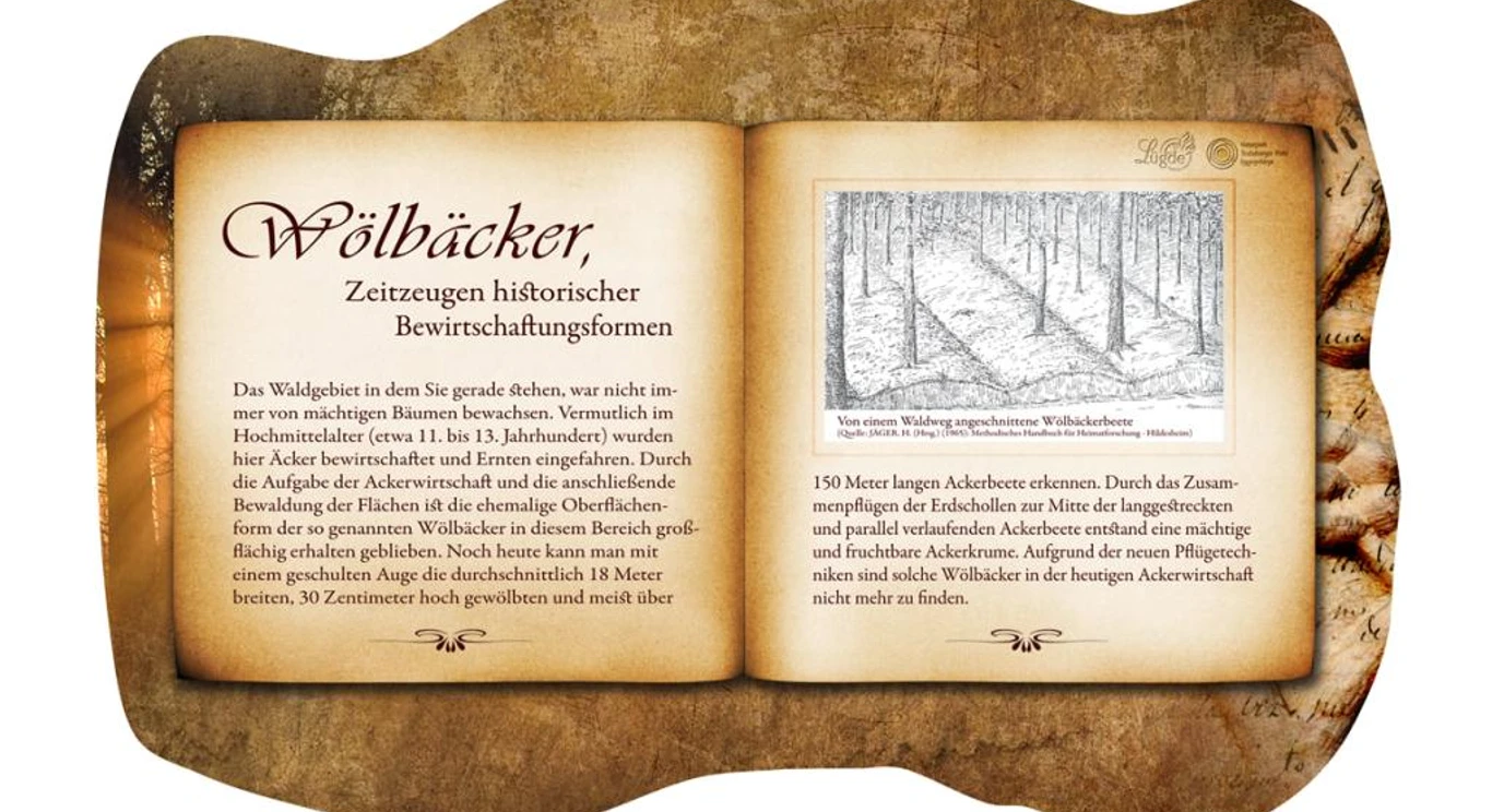 Bankrücken "Wölbäcker Tafel informiert über die historische Agrarlandschaft der Wölbäcker mit erklärendem Text und Grafik.