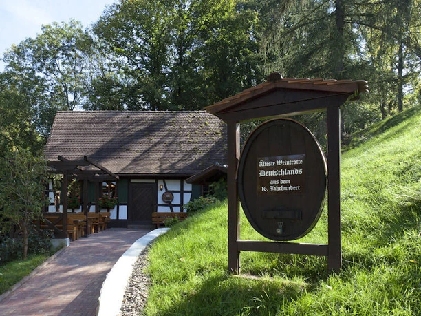 Alte Trotte aussen
