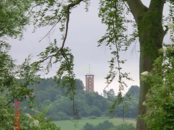 Ein Fernblick auf den Turm durch die grünen Blätter eines Baumes, umgeben von üppigen Wiesen.