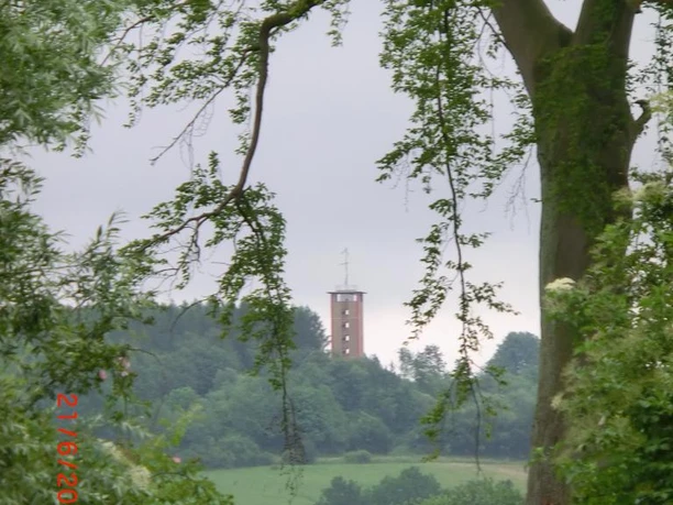 Ein Fernblick auf den Turm durch die grünen Blätter eines Baumes, umgeben von üppigen Wiesen.