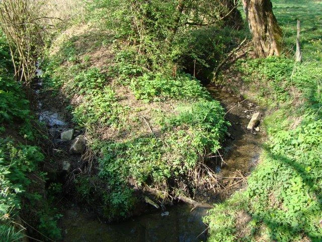 Quelle Ein kleiner Bach fließt durch eine grüne, bewachsene Landschaft mit Bäumen und Sträuchern.