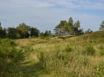 Bizarre Landschaft, Preussische Velmerstot Grüne Wiesen und vereinzelte Bäume unter blauem Himmel prägen die Landschaft im Preussischen Velmerstot.